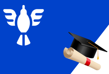 Study In netherland